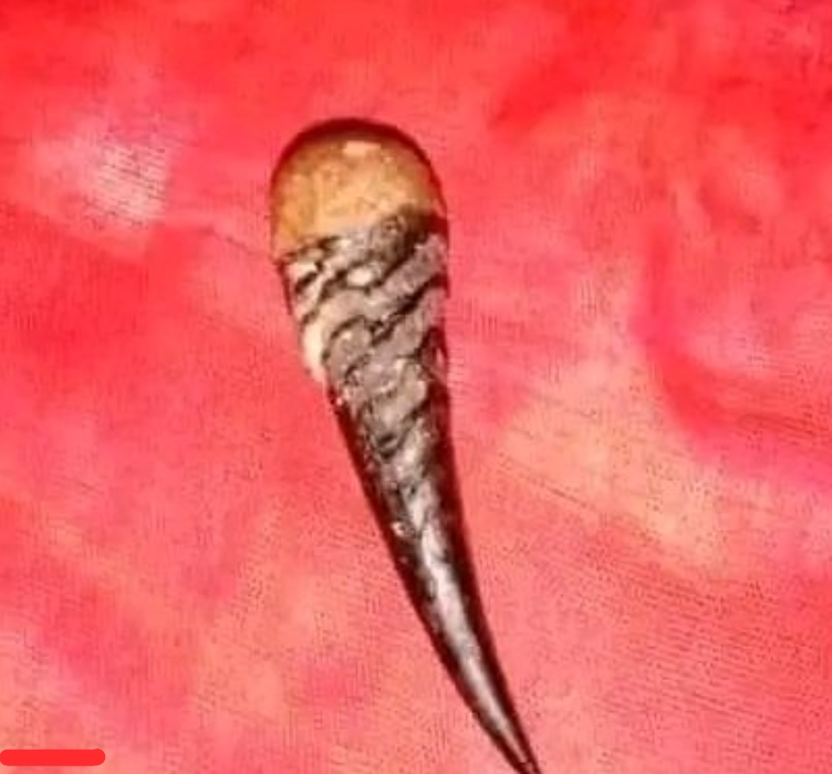 The Most Powerful SpirItual Herbalist Native Doctor IN Nigeria