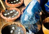 The Best Powerful SpirItual Herbalist Native Doctor IN Nigeria